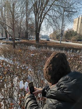 闪照第476期 感受经过