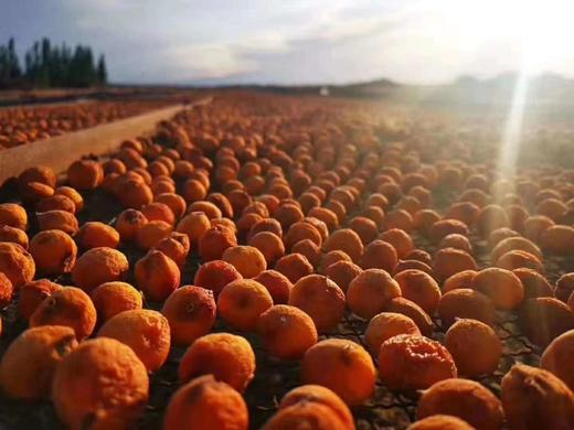 2025新疆吊干杏新货，阿克苏四团吊干杏基地直邮 商品图0