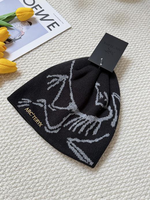 点此购买 始祖鸟秋冬季男女款冷帽 xj 338010 商品图4