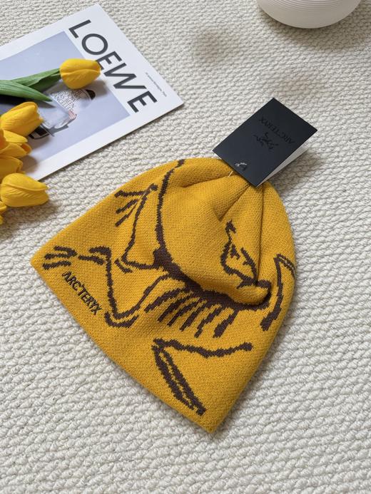 点此购买 始祖鸟秋冬季男女款冷帽 xj 338010 商品图2