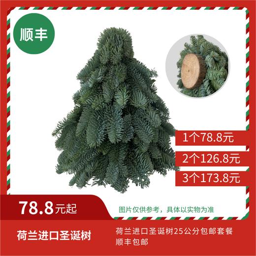 【圣诞特惠】荷兰进口圣诞树25公分组合 顺丰包邮 商品图0