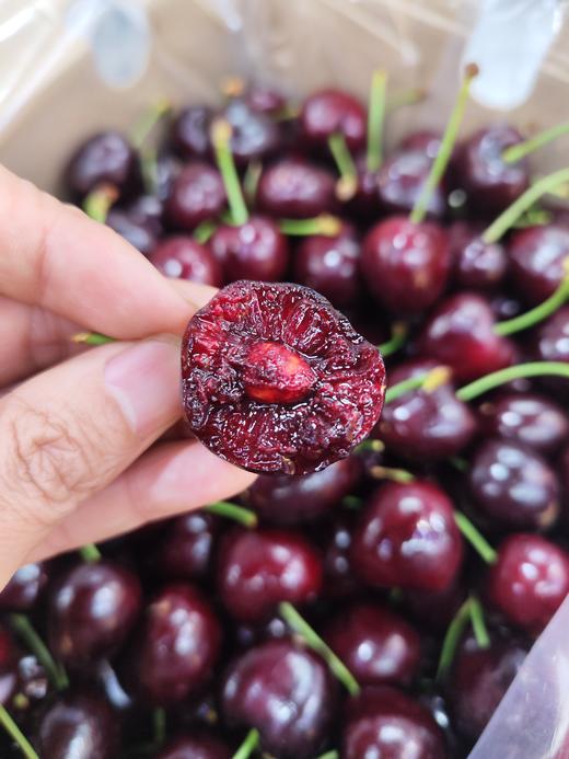 【团购特惠】桑提娜santina车厘子 ！果面干净！ 硬度好，新货浓甜微酸！收货后请放冷藏小段时间再食用，吃多少拿多少，坏果超过10颗以上包售后，轻微裂口，不予售后；介意慎拍~ 商品图1