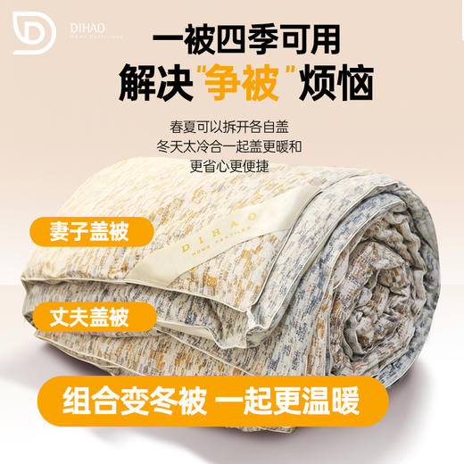 帝豪云绒丝滑二合一被【A35】 商品图1