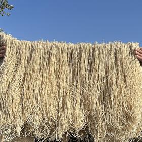 郧阳红薯粉（简易包装）袋装 5斤 （全国包邮，部分地区除外）