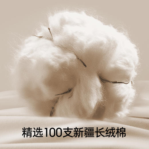 有棵树少女文胸初中高中生内衣防震发育期青少女童背心-BA014 商品图2