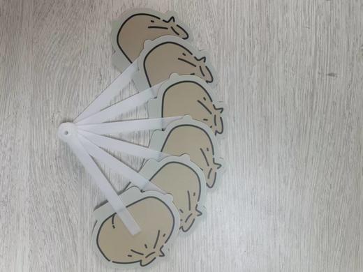 【抽奖赠品不可拍】氧气BAOBA0音乐节扇子 商品图0