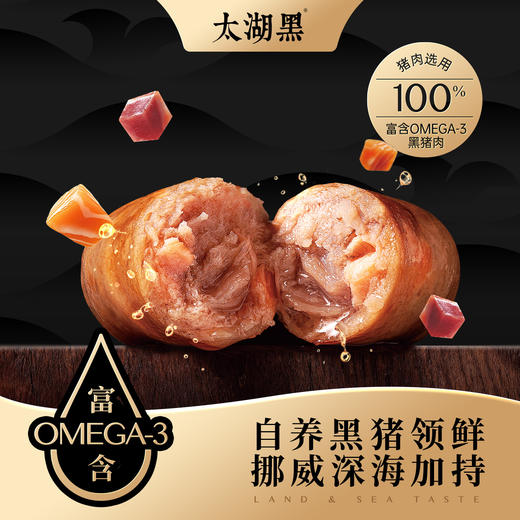 太湖黑Omega-3黑猪三文鱼烤肠空气炸锅脆皮肠健康美味爆汁纯肉 商品图0