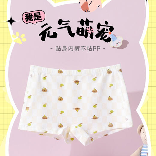 【3条装】女宝内裤小童平角棉莫内裤【CSK25303】 商品图2