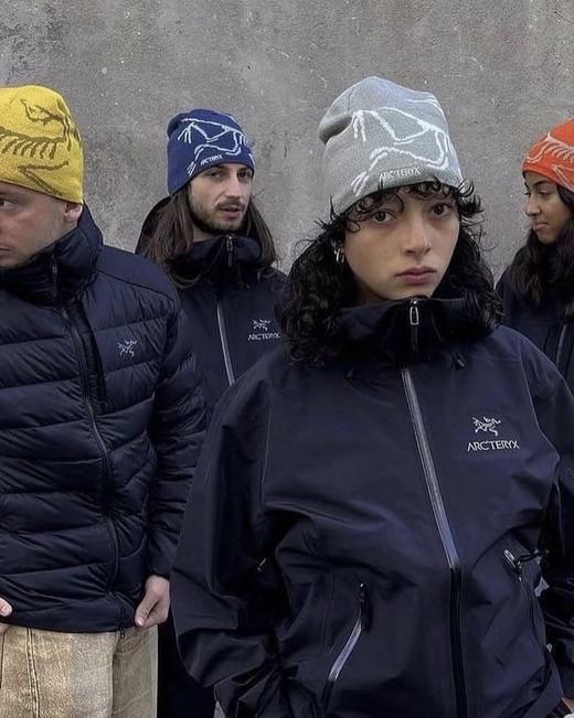 点此购买 始祖鸟秋冬季男女款冷帽 xj 338010 商品图8