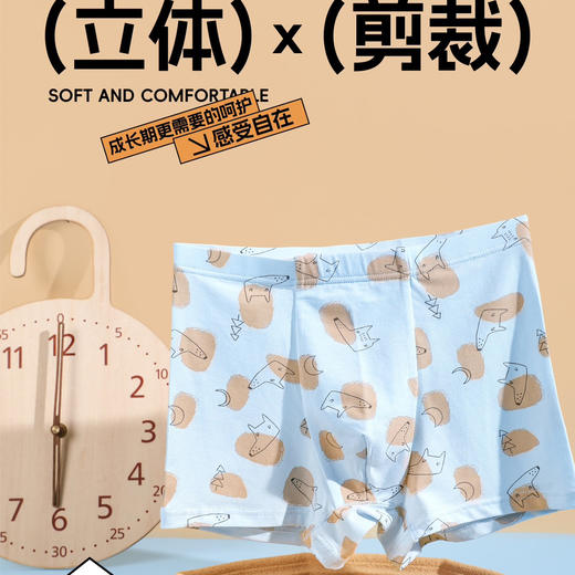 【3条装】男童平角内里小童棉莫印花底裤【CSK25337】 商品图2