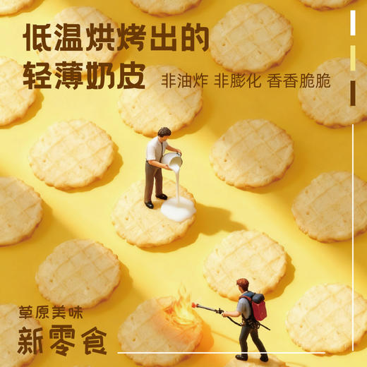 草原情 儿童零食酥酥脆脆办公室休闲零食 烤奶皮50g/袋 商品图3