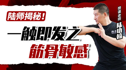 陆师揭秘：一触即发之筋骨敏感 商品图0