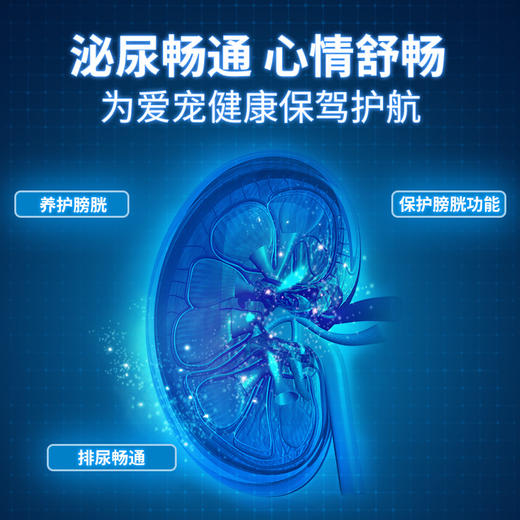 凯塔斯派实净catalysis RENALOF 西班牙犬猫泌尿道养护结石结晶 商品图4