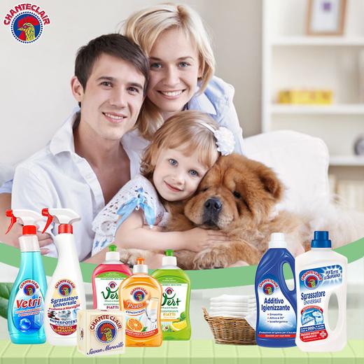 大公鸡·家清专场，意大利国民品牌，去污超快、轻松搞定全屋清洁！ 商品图0