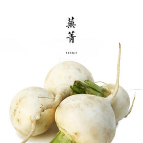 小芜菁  500g