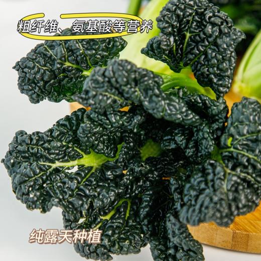 随州泡泡青【又叫皱叶黑白菜，这颗藏匿于荆楚大地之上的绿色瑰宝🌟】 商品图2