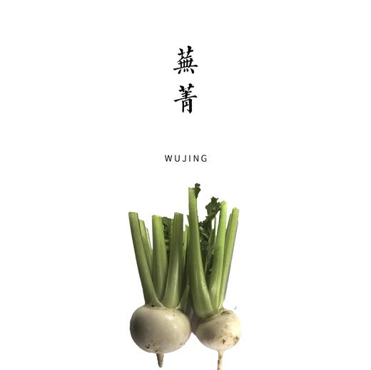 小芜菁  500g 商品图1