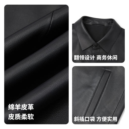 【门店同款】圣得西2025年冬季男士绵羊皮革真皮翻领皮衣
 商品图4