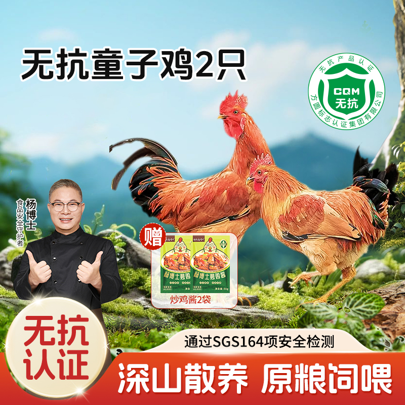 【杨博士无抗童子鸡】【买1送1】杨博士深山散养土鸡仔公鸡童子鸡（净重650克~900克/只）