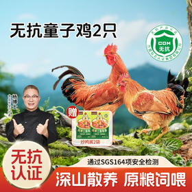 【杨博士无抗童子鸡】【买1送1】杨博士深山散养土鸡仔公鸡童子鸡（净重650克~900克/只）