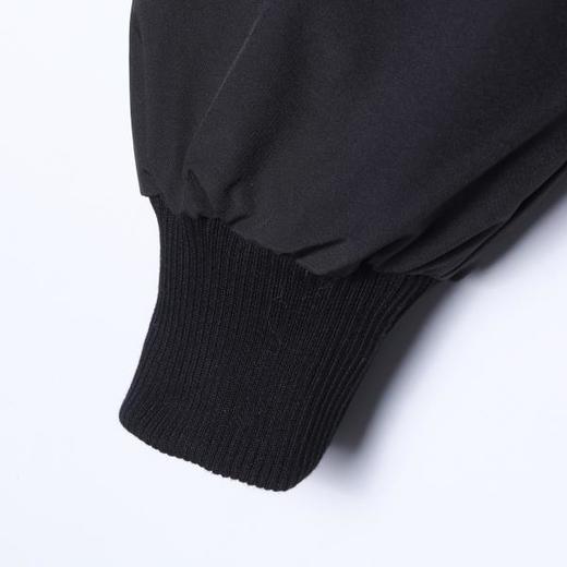 SDSA男士秋冬新款痞帅男装美式简约纯色立领羽绒服外套百搭时尚 商品图3