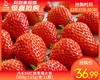 丹东99红颜草莓大果（300g±10g/盒 11颗） 商品缩略图0