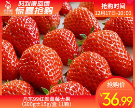 丹东99红颜草莓大果（300g±10g/盒 11颗）