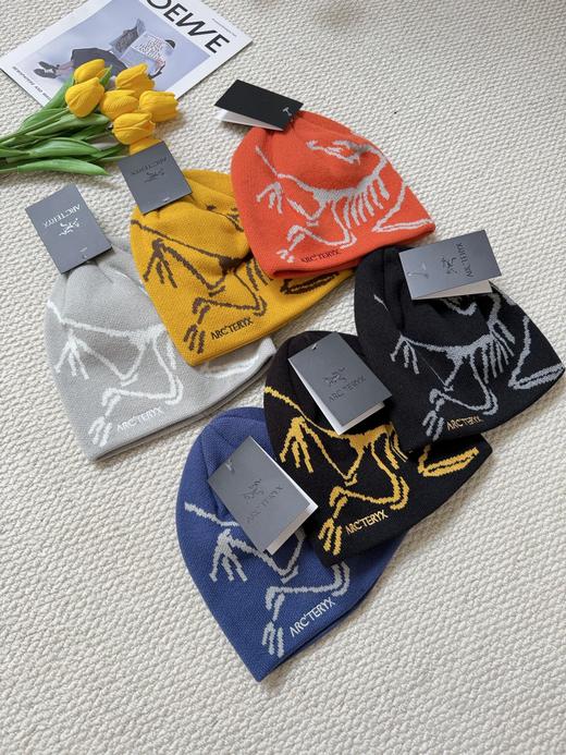 点此购买 始祖鸟秋冬季男女款冷帽 xj 338010 商品图0