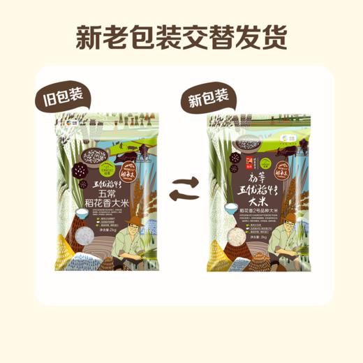 【直降35.9元，大米临期】中粮初萃五优稻4号大米2kg+东篱下蜜桃之恋花果茶150g【大米保质期至2026-01-06，茶保质期至2026-04】-专享价 商品图2