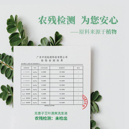 微益邦无患子艾叶洗发液 沐浴液 清爽天然 无硅油 商品图5