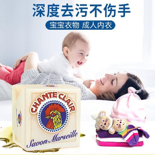 大公鸡·家清专场，意大利国民品牌，去污超快、轻松搞定全屋清洁！ 商品图7