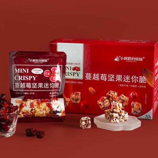 小刺猬的烦恼 蔓越莓迷你脆250g礼盒儿童孕妇每日坚果炒货干果送长辈礼包零食品 商品图1