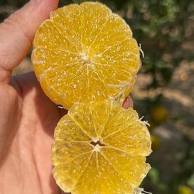 广西皇帝柑【我们只做山地果，今年气候影响，好吃的皇帝柑不多，果期可能就半个月时间】