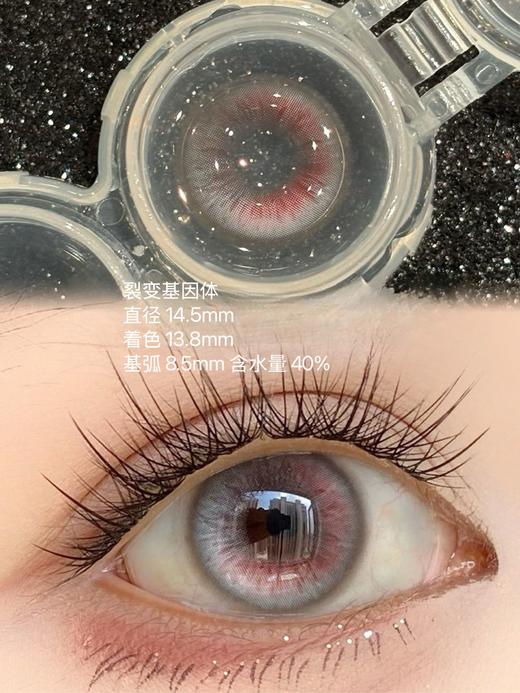 huohuocon 神圣区域科切拉怪兽裂变基因体猕石榴变心荧翅闪蝶纳吉尼蛇女 商品图3