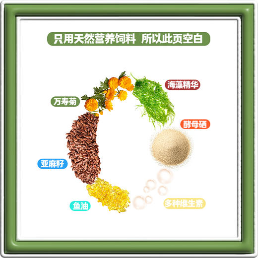 蛋益满满叶黄素可生食营养蛋10枚每箱 商品图2