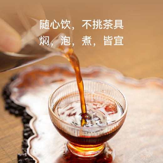 大师非遗六堡系列，核心产区，大师亲制好茶！专业陈藏，祛湿好喝 商品图4
