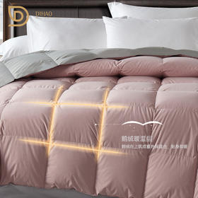 帝豪羽皇鹅绒被【A35】