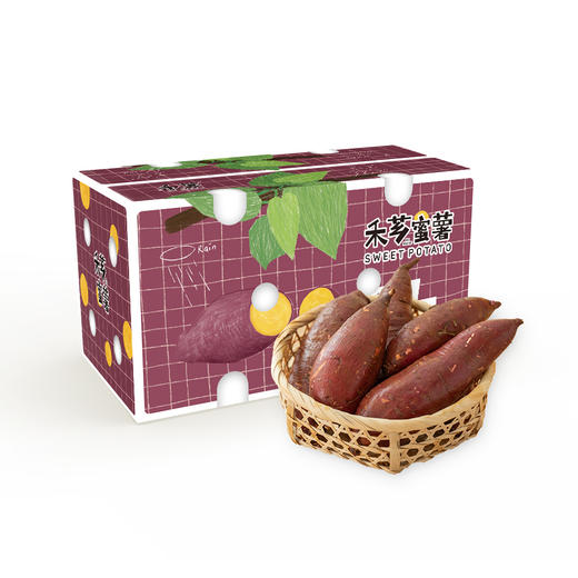 【顺丰发货】禾芗蜜薯 自然香甜 皮薄好剥 甜度高 入口绵密 自有基地种植 商品图4