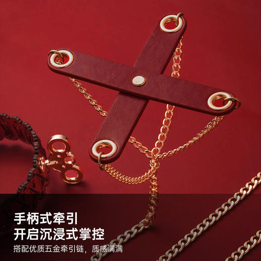 纵锦浪里发条项圈主奴牵引支配调教玩具哥特复古cos情趣道具 商品图4