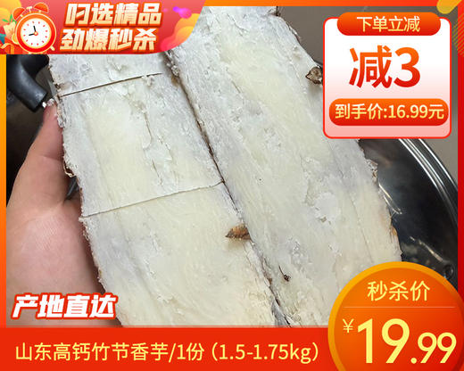 山东高钙竹节香芋/1份（1.5-1.75kg） 商品图0