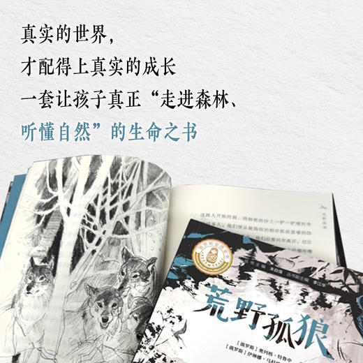 荒野孤狼 商品图4