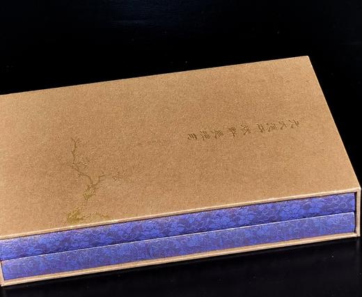 迦陵丛书02：《元大德本稼轩长短句》，16开，锦面精装，一函两册，[宋]辛弃疾著，叶嘉莹主编，上海古籍出版社2025年6月一版一印，496页，定价：358 商品图4