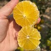 广西皇帝柑【我们只做山地果，今年气候影响，好吃的皇帝柑不多，果期可能就半个月时间】 商品缩略图4