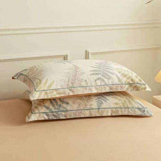 10楼恐龙  全棉生态磨毛四件套 叶蕴-米 200*230cm   吊牌价1580元   活动价399元 商品图2