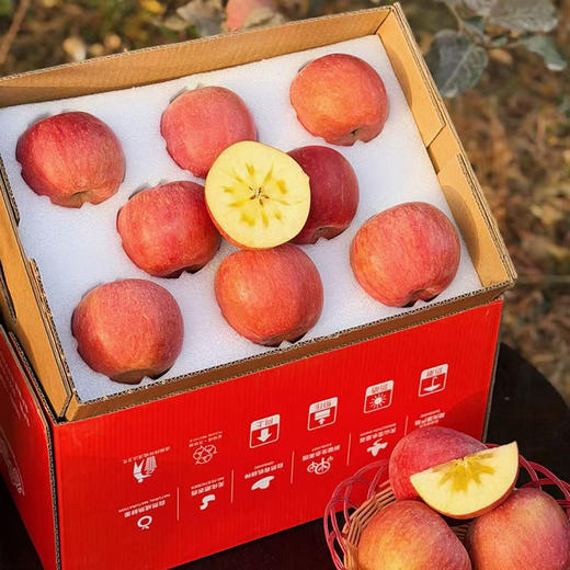 【厂商直发】新疆有机阿克苏苹果糖心苹果毛重6斤/10斤装包邮 商品图8