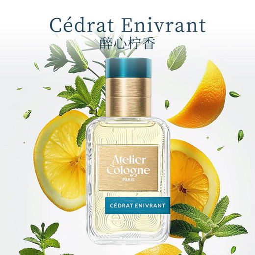 【炸炸妙妙屋】欧珑香氛系列专场  加州盛夏、醉心柠香、暗语玫瑰、茶花香颂  、车载香氛无极乌龙 商品图8