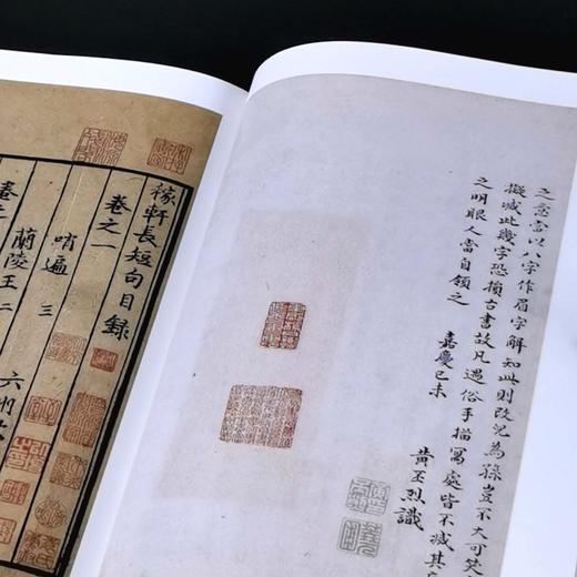 迦陵丛书02：《元大德本稼轩长短句》，16开，锦面精装，一函两册，[宋]辛弃疾著，叶嘉莹主编，上海古籍出版社2025年6月一版一印，496页，定价：358 商品图14