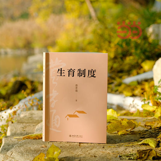 生育制度 商品图4