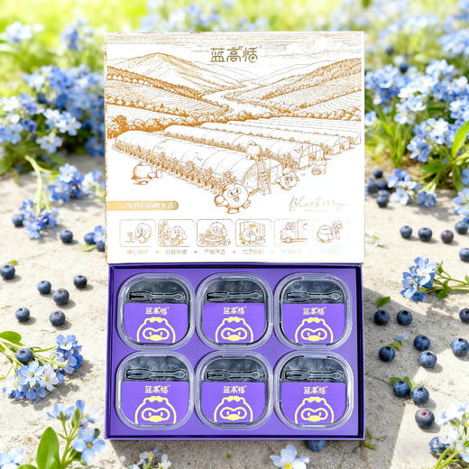 蓝高恬6杯礼盒装(果径18mm)100gx6杯 商品图2