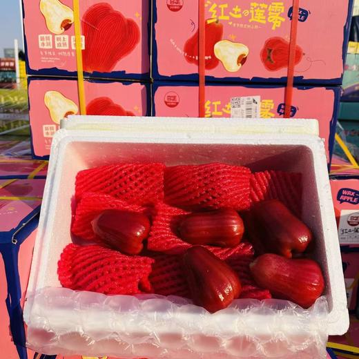 海南空运红土莲雾 精选果  整箱4斤装 商品图2